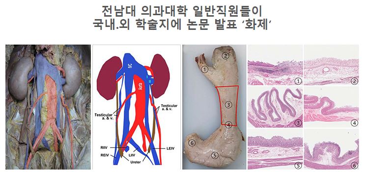 의과대학 대학회계직원들이 국내.외 학술지에 논문 발표 ‘화제’ 대표이미지